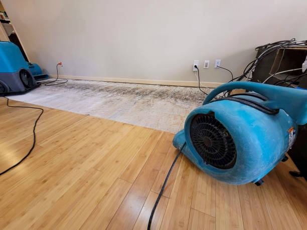 Reliable Burst Pipe Cleanup contractor in Frankston, TX by San Diego Water Damage Company