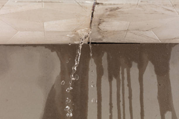 Professional Burst Pipe Cleanup technician working in Frankston, TX
